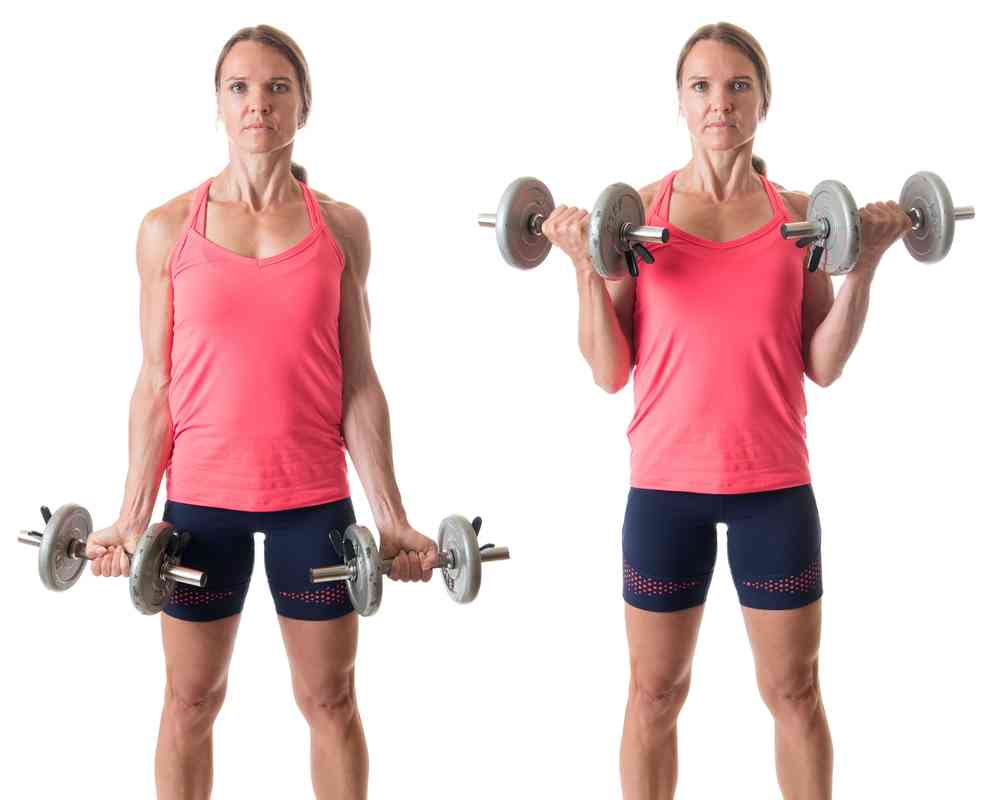 Hammer Curls vs Bicep Curls: Which is Better for Building Strength? - CityPT